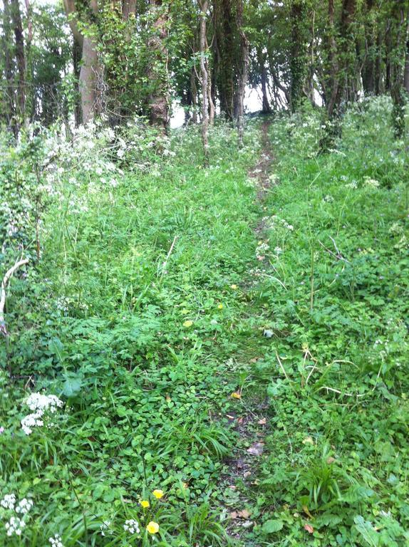 Pathways, Beachwood Cottage Bath Exteriér fotografie